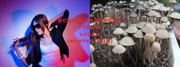дурь Бронницы