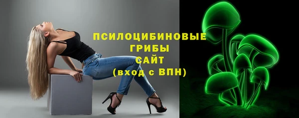 МДМА Бородино