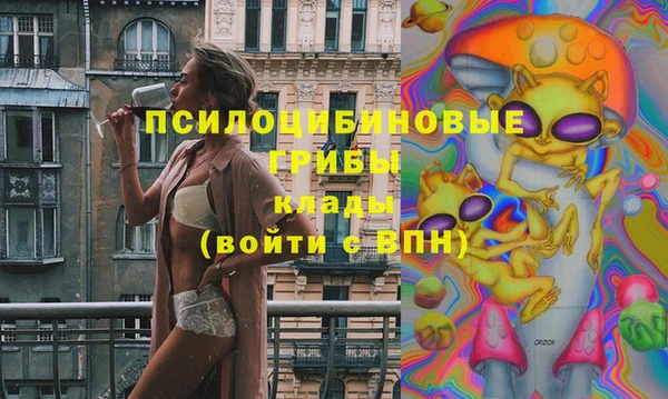 ешки Богородицк