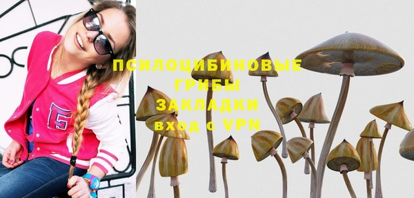 эйфоретик Богородск