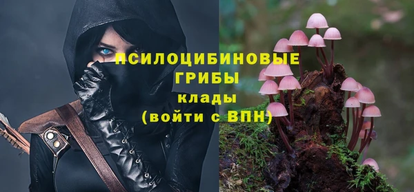 ешки Богородицк