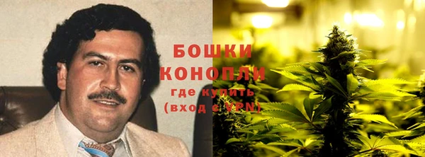 МДМА Бородино