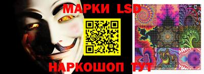 крисы Бийск