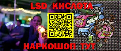 крисы Бийск