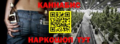 крисы Бийск