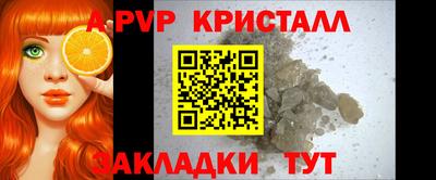 твердый Бийск