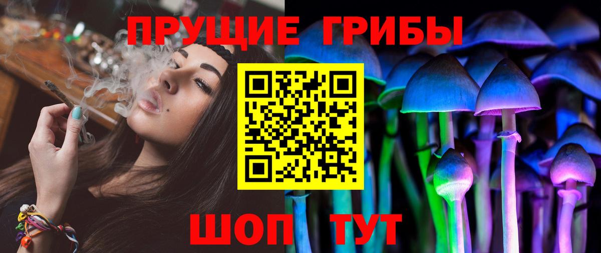 Псилоцибиновые грибы GOLDEN TEACHER Бузулук