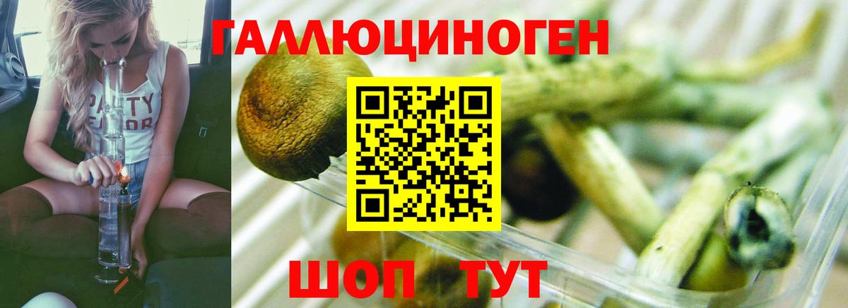 Псилоцибиновые грибы прущие грибы  Вход с VPN  Бузулук  Псилоцибиновые грибы Magic Shrooms 