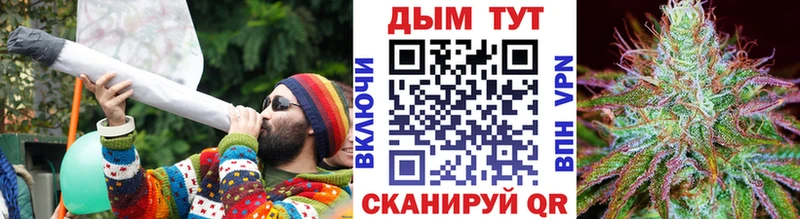 Каннабис семена  Бузулук 